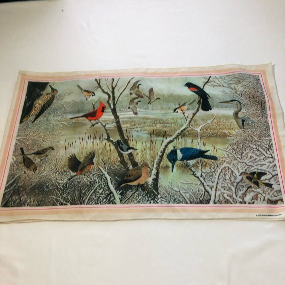 Vintage 1979 national wildlife federation bird scarf 12”x42” cardinal ducks art